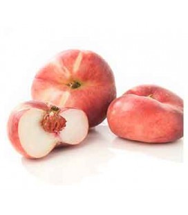 Pessego Paraguay Cal 61+ Cat II