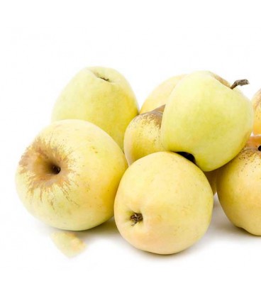 Maca Bravo 75/80 Cat II