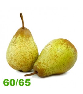 Pera Rocha 65+ Cat II