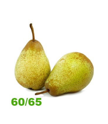 Pera Rocha 65+ Cat II