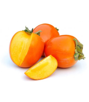 Diospiro (Roer) Cat II