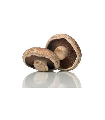 Cogumelos Portobello Cat II Granel 