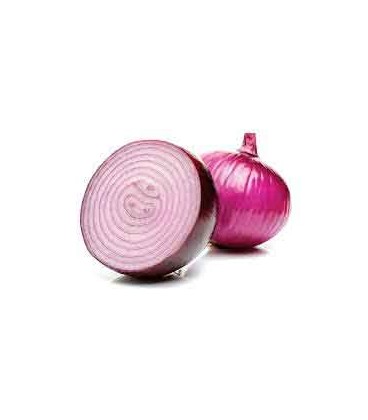 Cebola Roxa Cat. II