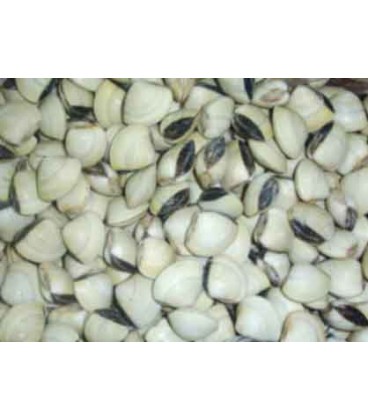 Ameijoa Vietnam Vacuo 1 kg