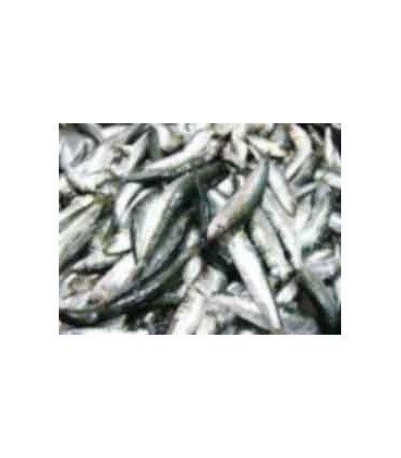 Sardinha Pequena (Petinga) cx/8 Kg