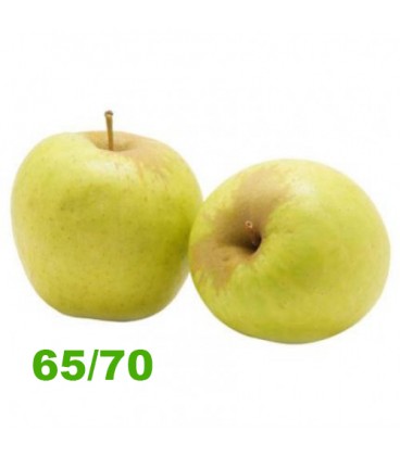 Maca Golden 65/70 Cat. II (miuda)