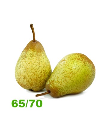 Pera Rocha 70/75 Cat II (grande)