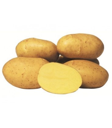Batata Agria Cat II (Fritar) Sc/20 Kg