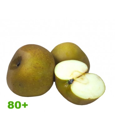 Maca Reineta 80+ Cat II