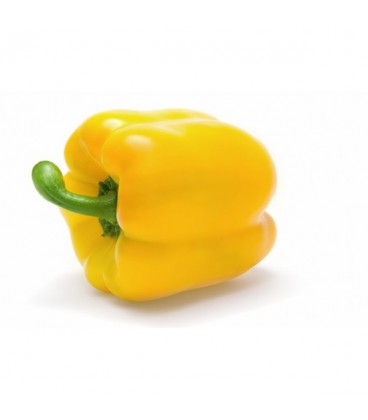 Pimento Amarelo Cat II