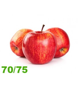 Maca Starking 70/75 Cat II (media)