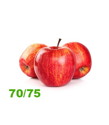 Maca Starking 70/75 Cat II (media)