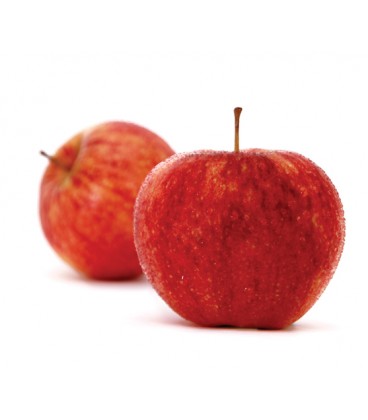 Maca Royal Galya 75/80 Cat II (grossa)