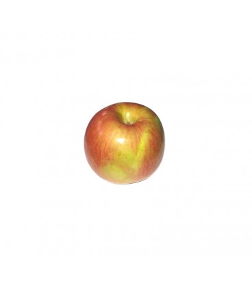 Maca Fuji 65/70 Cat II