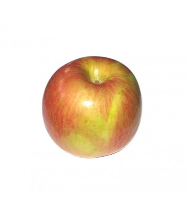 Maca Fuji 80+ Cat II