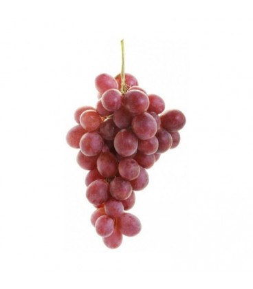 Uvas Preta Red Globe Cat II