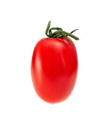 Tomate Xuxa Cat. II