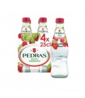 Agua Pedras Frutos Vermelhos T.P. cx/ 24 un