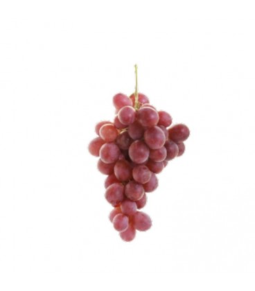 Uva Red Globe Port. II N/C