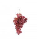 Uva Red Globe Port. II N/C
