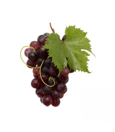 Uvas Pretas Cardinal II