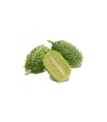 Maxixe