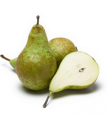 Pera Conference 65/75 Cat II